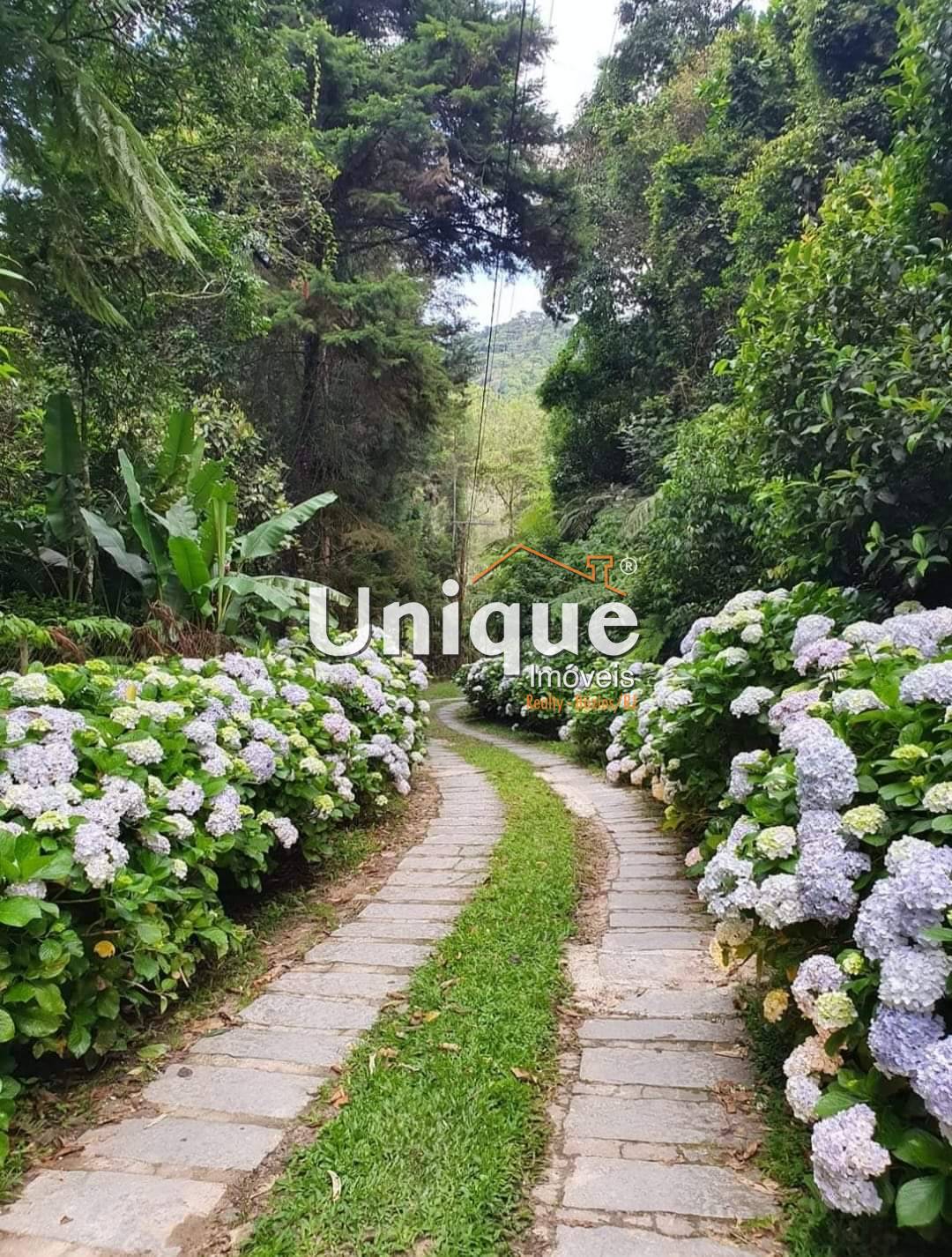 Casa, 3 quartos, 14176 m² - Foto 31