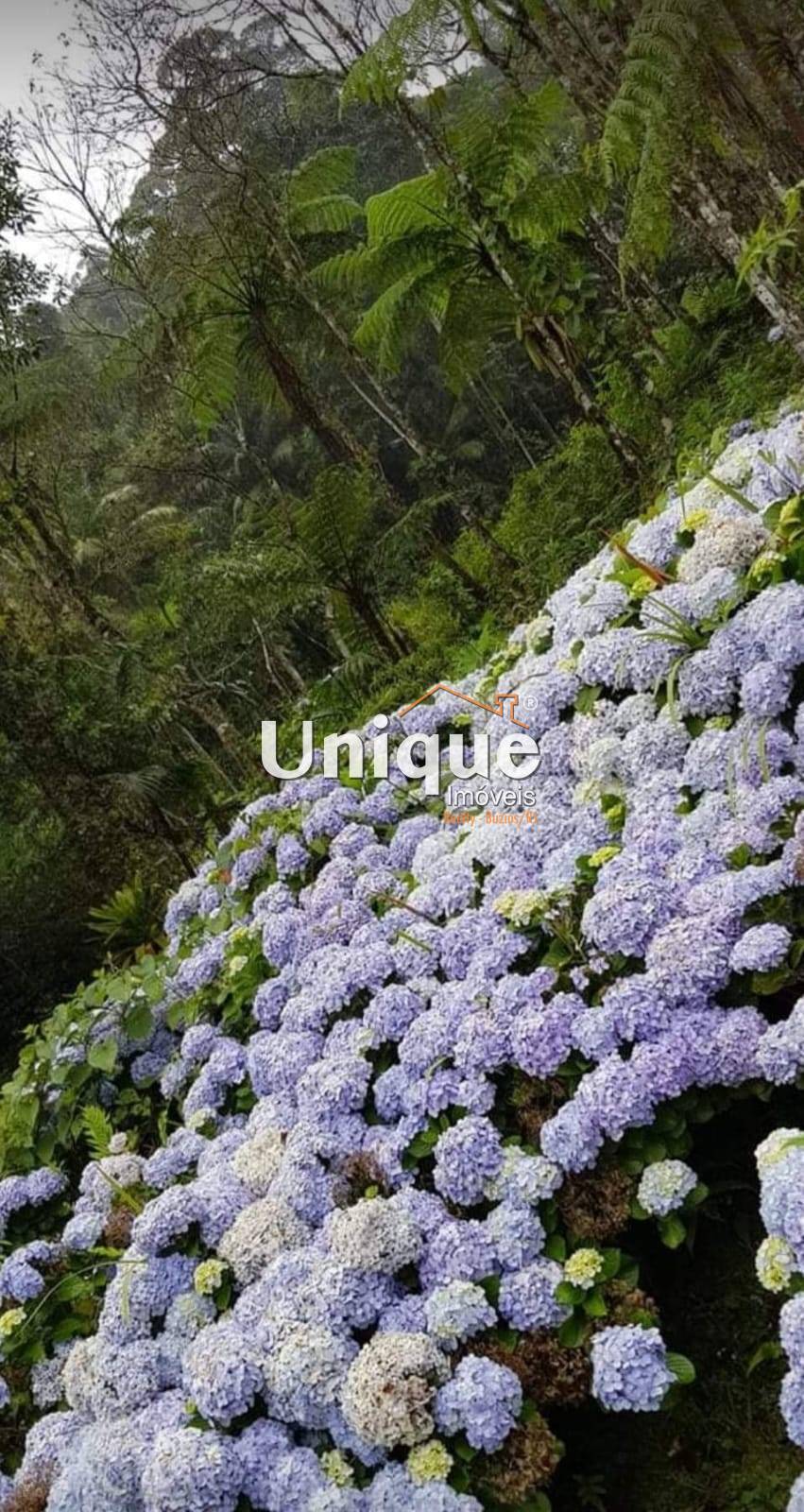 Casa, 3 quartos, 14176 m² - Foto 32